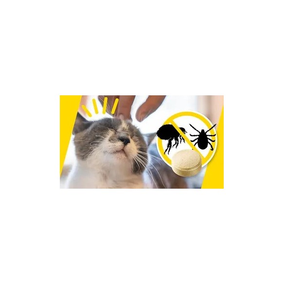 ADTAB OTC GATO 12 MG 0,5 - 2 KG