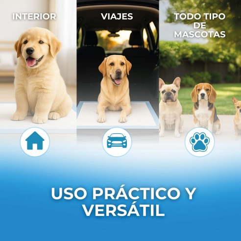 Moly Puppy Pads Grand: Empapadores Desechables para Mascotas