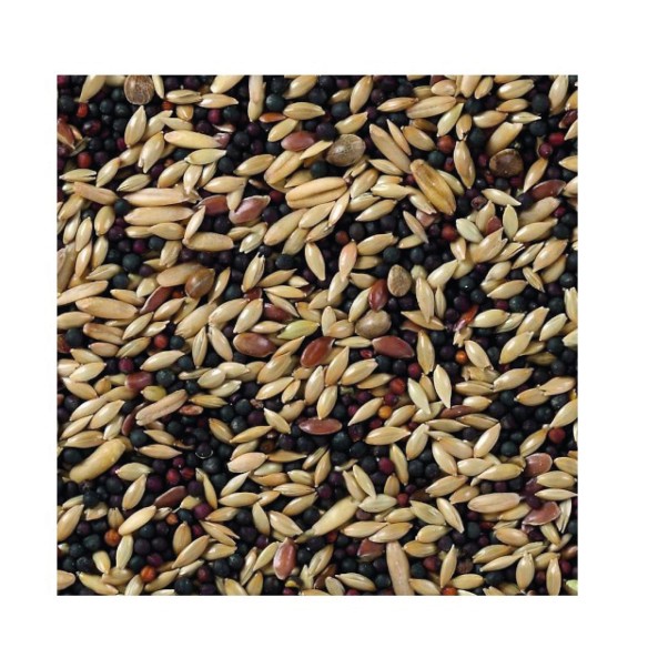 Deli Nature Canaris Base 20 kg | Mezcla Premium para Canarios
