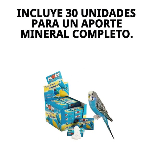 MOLY Expositor 30 Unid. de Calcio para Aves Saludables