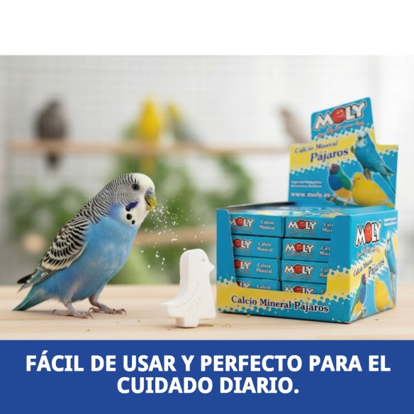 MOLY Expositor 30 Unid. de Calcio para Aves Saludables