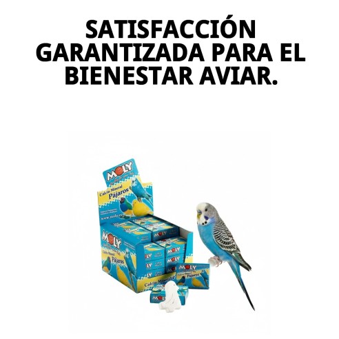 MOLY Expositor 30 Unid. de Calcio para Aves Saludables