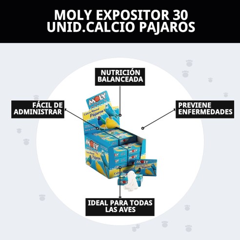 MOLY Expositor 30 Unid. de Calcio para Aves Saludables