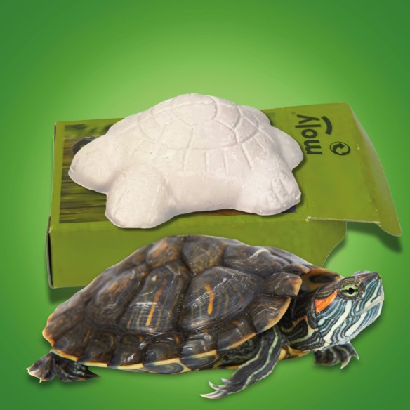 Moly Calcio Tortugas Expo: Salud y Bienestar Acuático