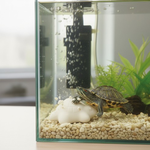 Moly Calcio Tortugas Expo: Salud y Bienestar Acuático