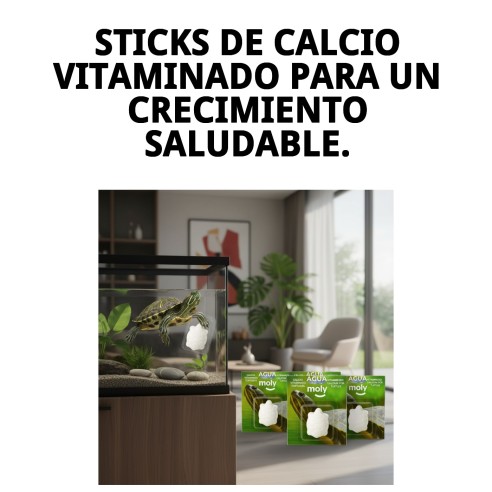 Moly Calcio para Tortugas Grandes - Fortalece su Caparazón