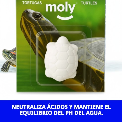 Moly Calcio para Tortugas Grandes - Fortalece su Caparazón