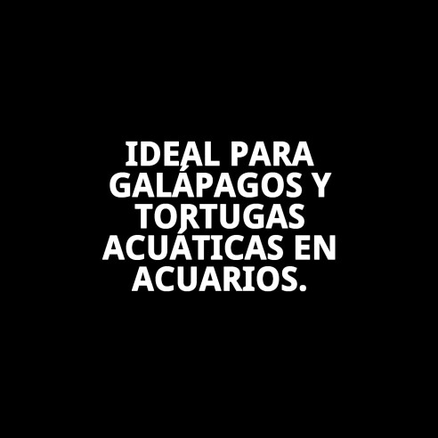 Moly Calcio para Tortugas Grandes - Fortalece su Caparazón