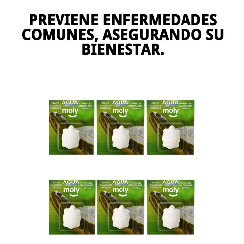 Moly Calcio para Tortugas Grandes - Fortalece su Caparazón