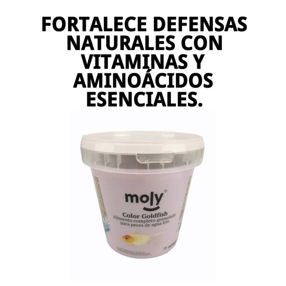 Moly Goldfish Color Granulado 275g - Alimento para Peces
