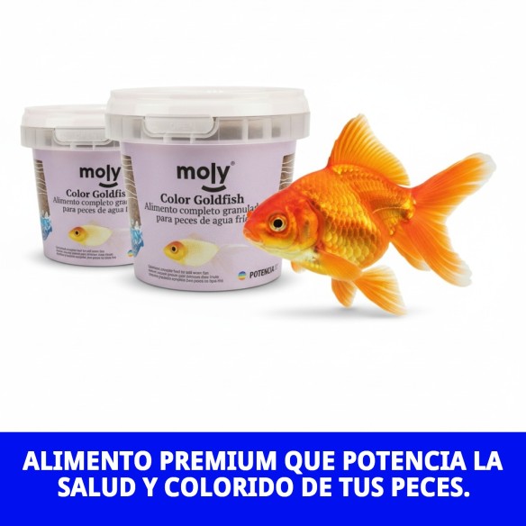 Moly Goldfish Color 75g: Alimentación para peces vibrantes