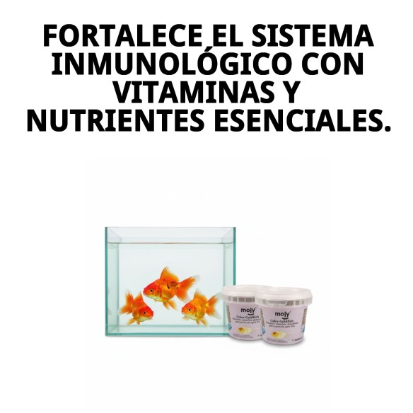 Moly Goldfish Color 75g: Alimentación para peces vibrantes