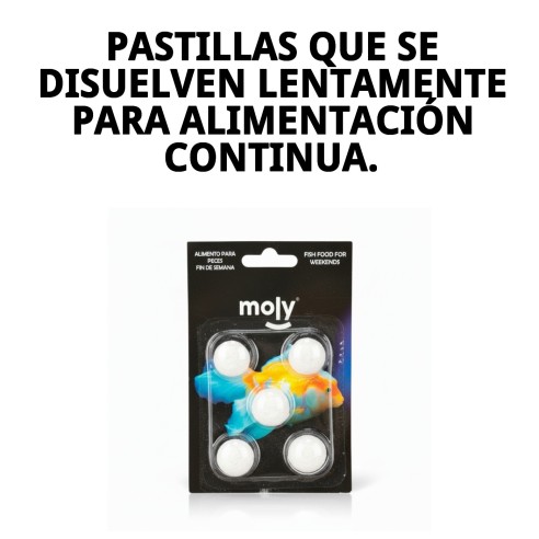 MOLY Fin de Semana Sticks: Alimento Ideal para Peces