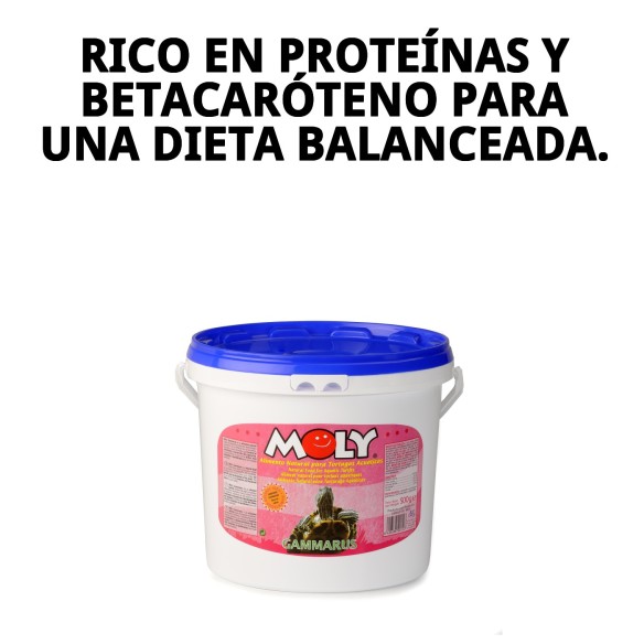 MOLY GAMMARUS 500g: Nutrición natural para tortugas y peces