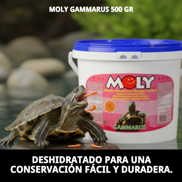 MOLY GAMMARUS 500g: Nutrición natural para tortugas y peces