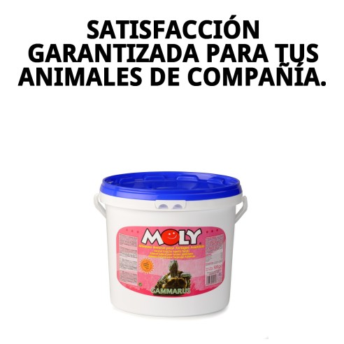 MOLY GAMMARUS 500g: Nutrición natural para tortugas y peces
