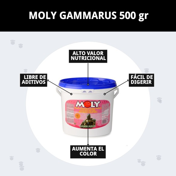 MOLY GAMMARUS 500g: Nutrición natural para tortugas y peces