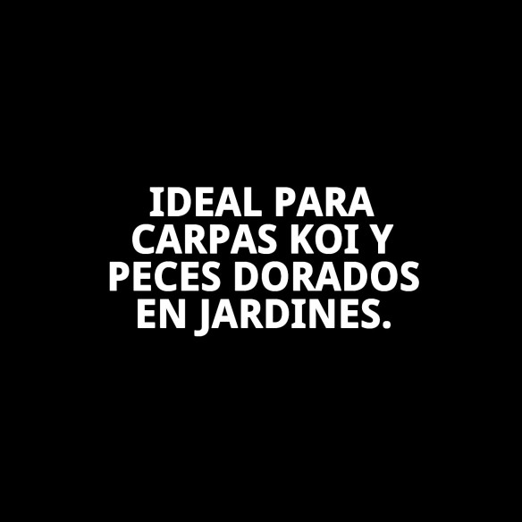 Moly Estanque Sticks 4 kg: Alimento Profesional para Peces