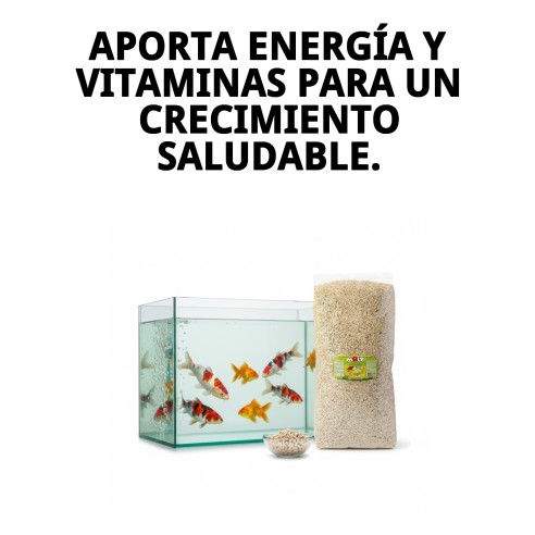 Moly Estanque Sticks 4 kg: Alimento Profesional para Peces