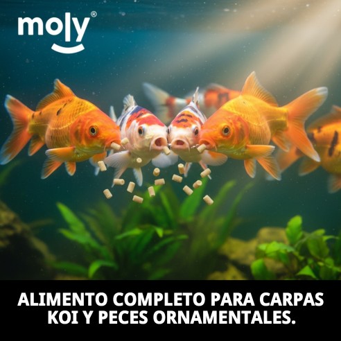 Moly Estanque Sticks 85g - Alimento Ideal para Peces Koi