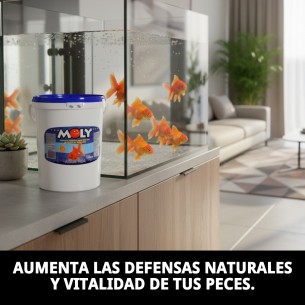 MOLY GOLDFISH COLOR 1 kg/ 7.5 LITROS 2