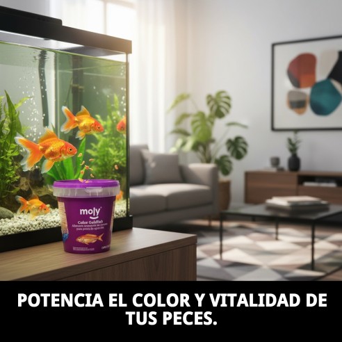 Alimento Moly Goldfish Color 200g para peces vibrantes
