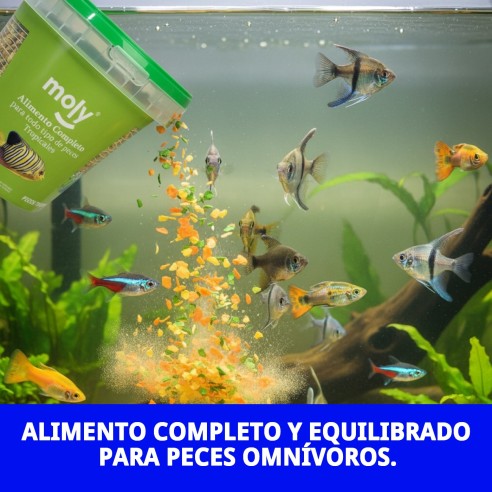 Alimento Completo Moly Tropicales 200g para Peces Omnívoros