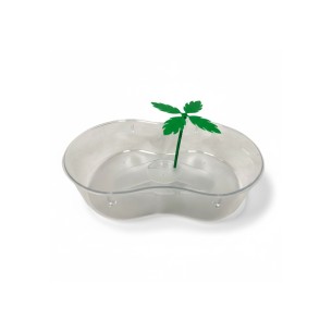 Tortuguera Plástico con Palmera 31x21 cm para Tortugas