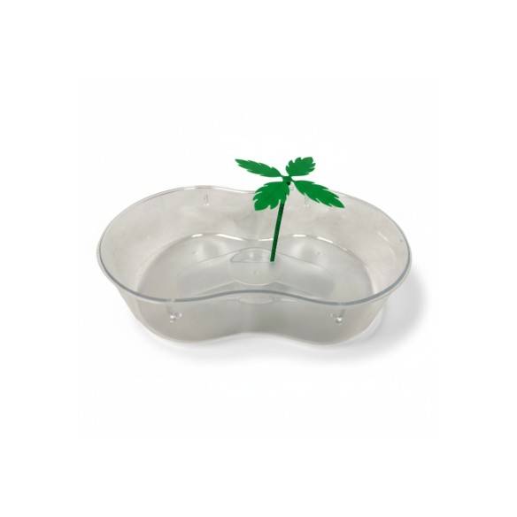 Tortuguera Plástico con Palmera 31x21 cm para Tortugas