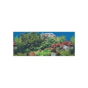 Papel Decorativo 30cm x 1m para Mascotas - Modelos Únicos