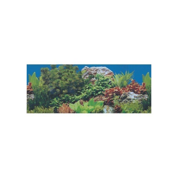 Papel Decorativo 30cm x 1m para Mascotas - Modelos Únicos