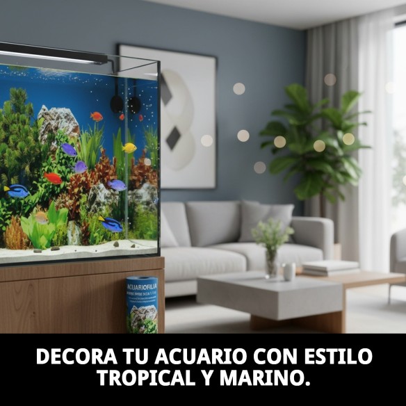 Papel Decorativo 30cm x 1m para Mascotas - Modelos Únicos