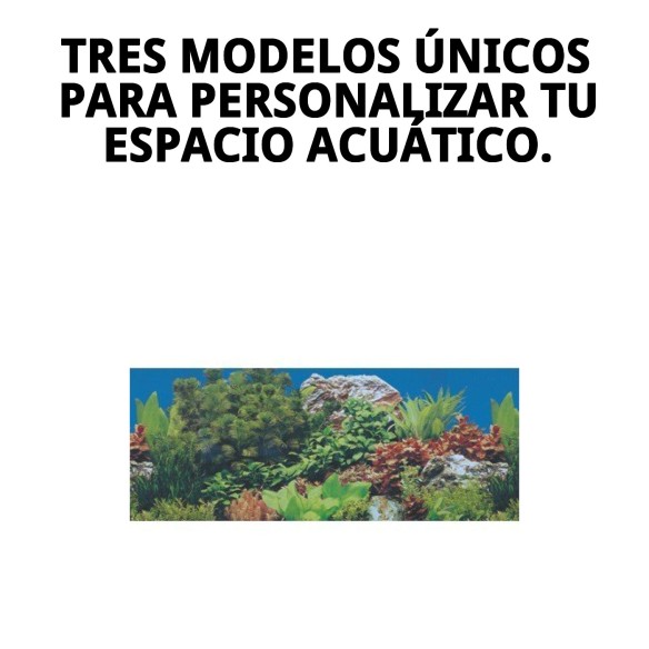 Papel Decorativo 30cm x 1m para Mascotas - Modelos Únicos