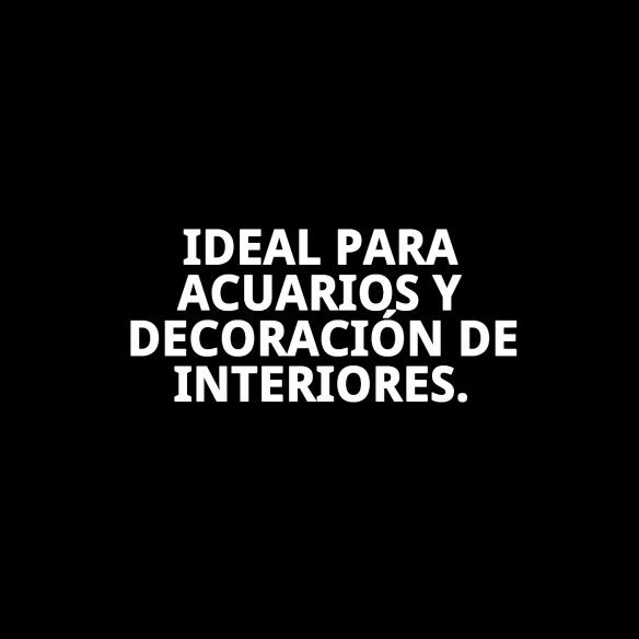 Papel Decorativo 30cm x 1m para Mascotas - Modelos Únicos