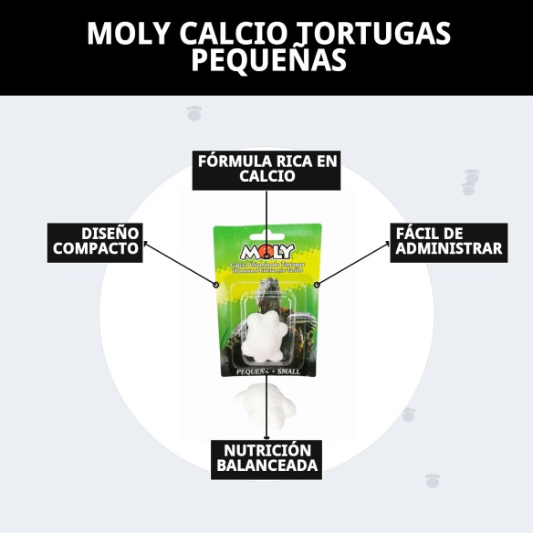 Moly Calcio para Tortugas Pequeñas - Alimentación Ideal