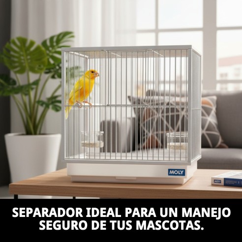 Separador Rejilla Jaulón Cría 60 cm | Calidad Moly