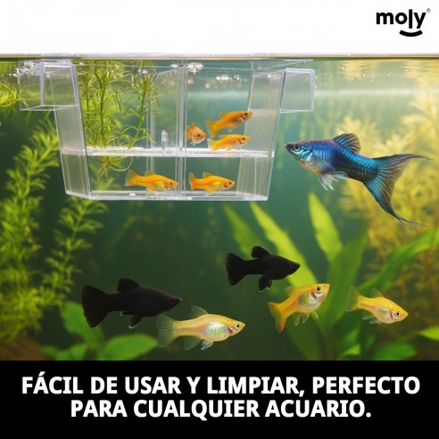 Paridera Flotante 2 en 1 Moly para Mascotas - 21x10x9,5 cm