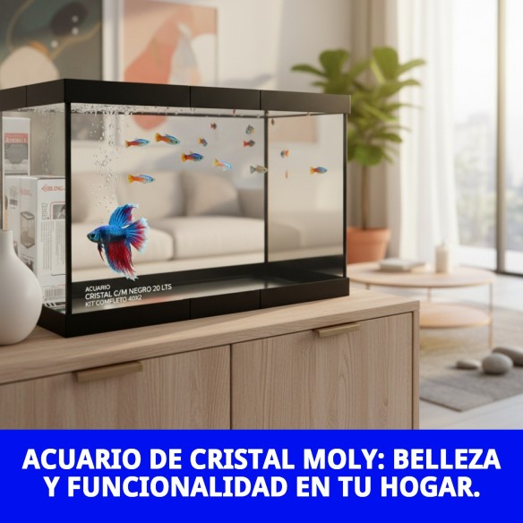 Acuario de Cristal Moly 20L Kit Completo para Peces