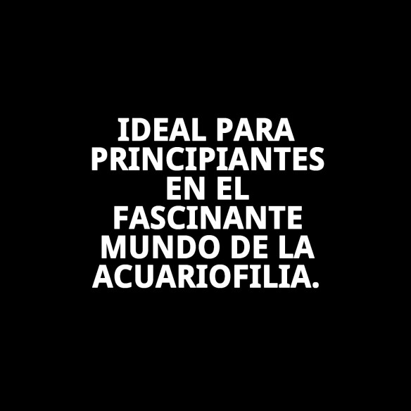 Acuario de Cristal Moly 20L Kit Completo para Peces