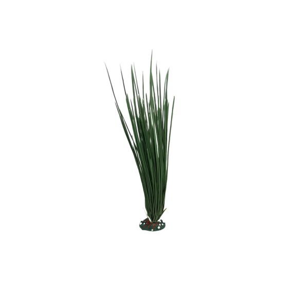 Planta Decorativa 23 cm - El Toque Verde para tu Hogar