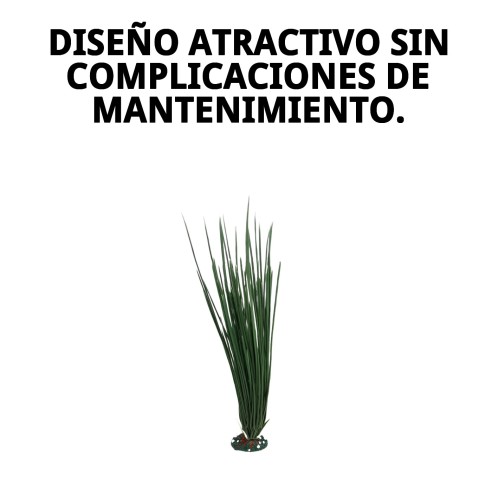 Planta Decorativa 23 cm - El Toque Verde para tu Hogar