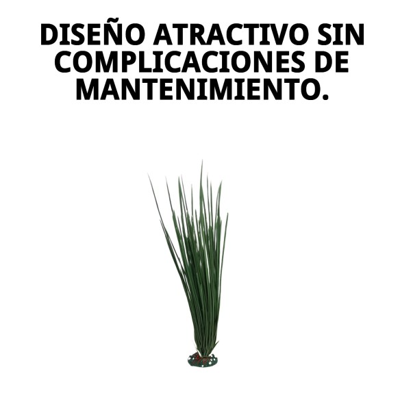 Planta Decorativa 23 cm - El Toque Verde para tu Hogar