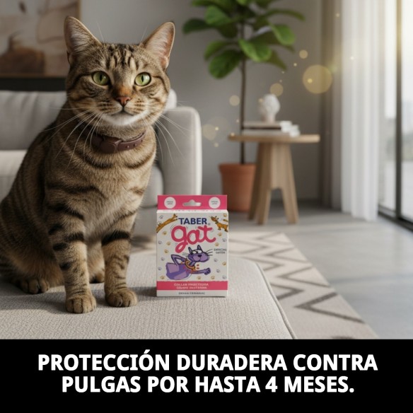 Collar Insecticida Tabergat - Fabricante y Proveedor | Moly