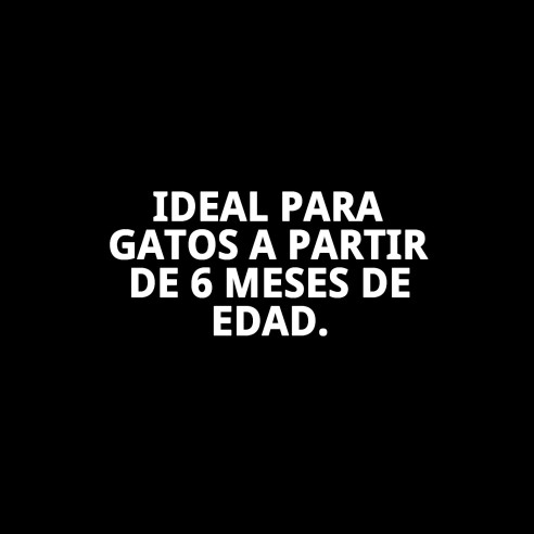 Collar Insecticida Tabergat - Fabricante y Proveedor | Moly