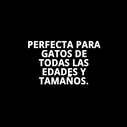Bandeja de Arena para Gatos 50x35x12 - Higiene Perfecta