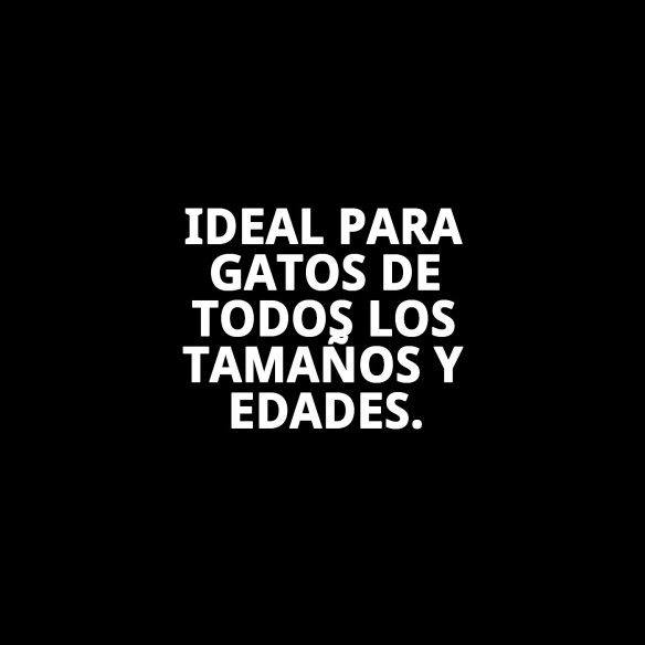 Bandeja Sprint 10 para gatos, calidad y comodidad garantizadas