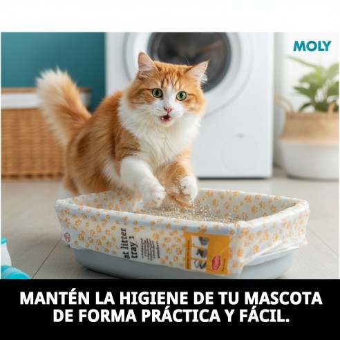 Bolsas Bandejas Pequeñas B-10 PCS para Higiene y Cosmética