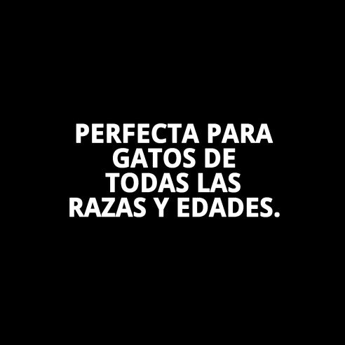 Casita Cathy Easy Clean para Gatos - Higiénica y Práctica