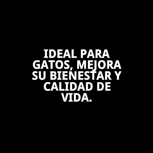 Recambio de Carbón para Filtro Casita - Higiene Perfecta