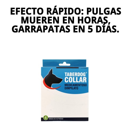 Collar DFV Insecticida: Protección Efectiva para tu Perro